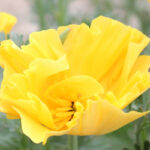 O1CN011crYSp2JkjasYn9Qj__2213216199460_jpg_q30_jpg