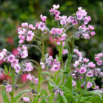 O1CN01pbd5142JkjmC4HxDp__2213216199460_jpg_q50_jpg