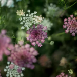 O1CN01S6BKDU2Jkjm53jy9I__2213216199460_jpg_q30_jpg