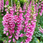 O1CN01wlldQZ2BdOGGqyFNA__2044468361-0-cib_35138a88-7316-404b-88b8-b6a5551c466f