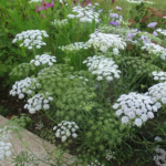 O1CN01w7SHQY2Jkjlx4EIty__2213216199460_jpg_q50_jpg