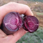 O1CN01OzB7RS1eHW8VRLZvH__2216082263846_jpg_q50_jpg