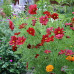 O1CN01pg7BbX2JkjaxMURsL__2213216199460_jpg_q50_jpg