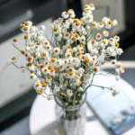 O1CN01VOp1UJ2BdOG0ZqA3L__2044468361-0-cib