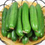 Green Light F1 Cucumber Seeds