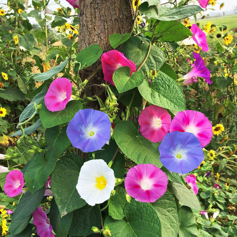 O1CN01y9ErUX1NQM5jNTgTA__6000000001564-0-cib_1