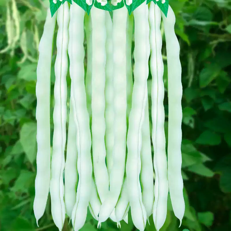 O1CN01yib7411dXiPG3dyOX__1071273746_jpg_q50_jpg