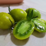 O1CN0107sZsd29XmQHt5Log__2212701648078_jpg_q50_jpg