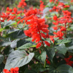 O1CN01mvwjw92BdOA8h2Gxk__2044468361-0-cib_1