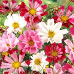 O1CN01UTyubV2JkjlVglzMG__2213216199460_jpg_q50_jpg