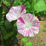 O1CN012yoZNe2JkjaRYSFvP__2213216199460_jpg_q30_jpg