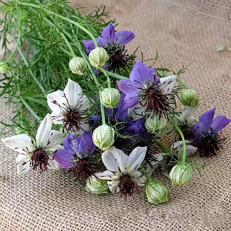 O1CN01zyBkFz2Jkjfq96ZHR__2213216199460_jpg_q50_jpg