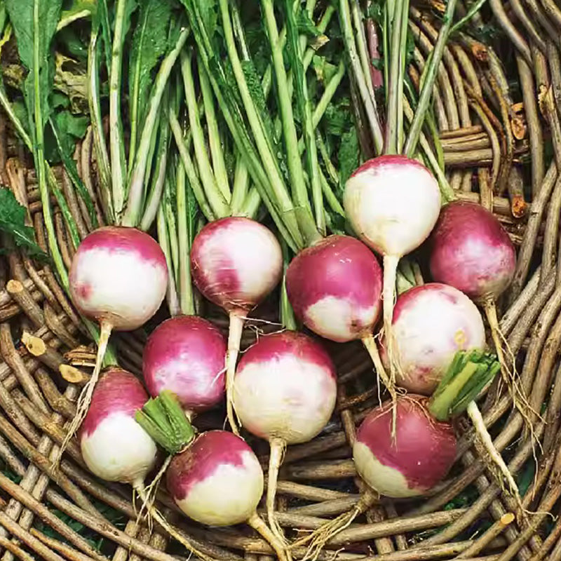 TB2YYv8xhtmpuFjSZFqXXbHFpXa__1580370_jpg_q50_jpg