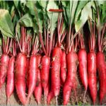 O1CN01VB1ZHI2MznQQwIUiF__3433789899_jpg_q50_jpg