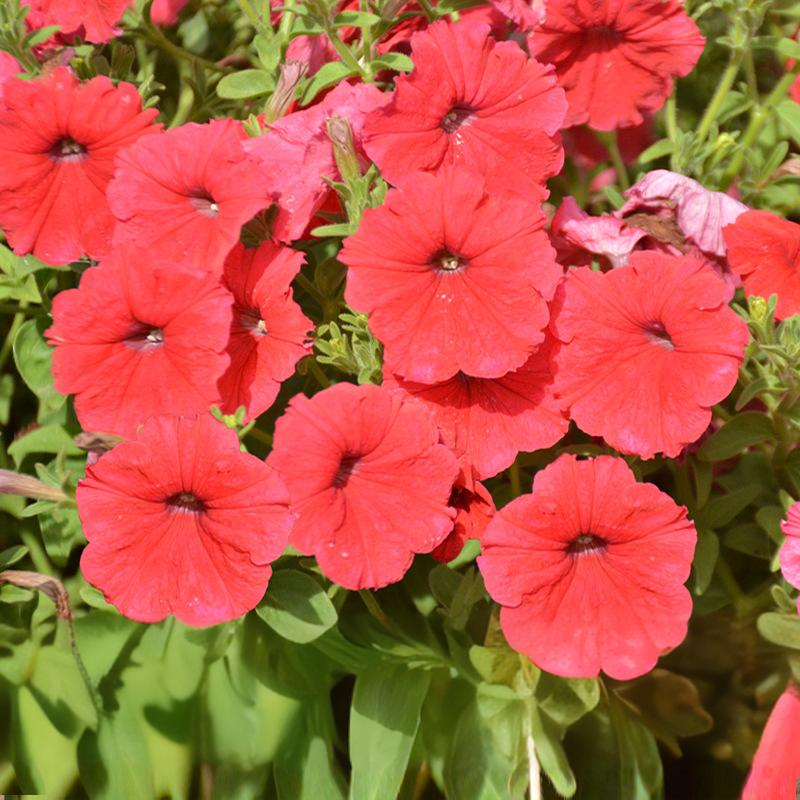 a1593807876ebafc4e2cca149e69385c