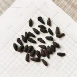 O1CN01jYzVna2JkjlgcYI8x__2213216199460_jpg_q50_jpg