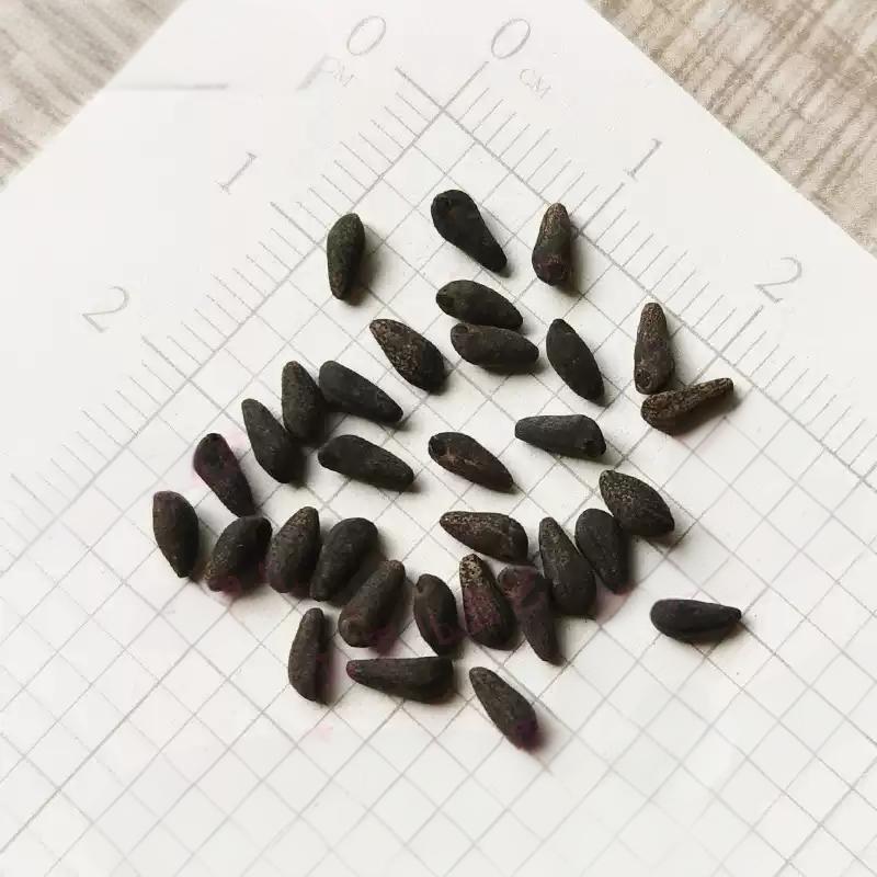 a40161efd7084fdb53f320d1389c9309