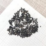 13254623171_500142703