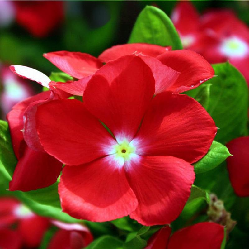 a69935c1105343512cf7dbf8e842bdfe