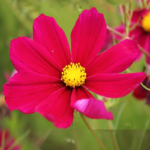 O1CN01pA1Lt22JkjXfS3QGv__2213216199460