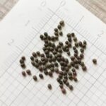 O1CN01JDJZmX2JkjXpzJph1__2213216199460_jpg_q50_jpg