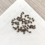 O1CN01BGUybX2Jkjbd8z8t4__2213216199460_jpg_q50_jpg