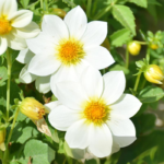 O1CN01r8urJy2BdOJCYFjbA__2044468361-0-cib