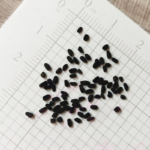 O1CN01WENGJt2JkjleHXcUf__2213216199460