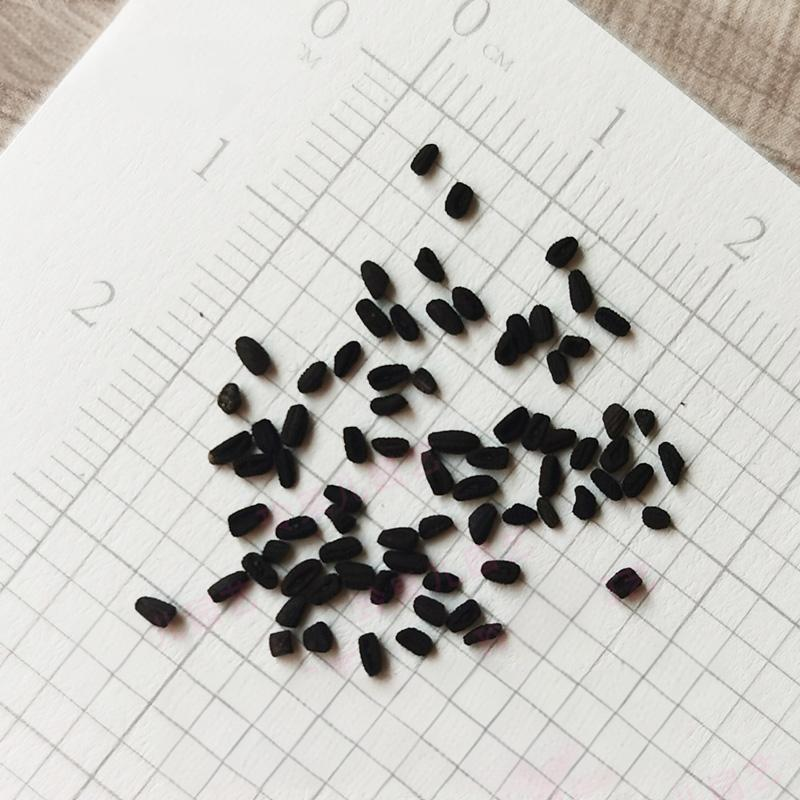 b8897b473bf30c8eec59b346e1aeaabc