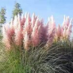 O1CN01KaAHOy1wtgENj3cyj__753026366_jpg_q50_jpg