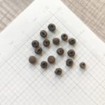 38543338e88c23f84feb03a3f9feaeab