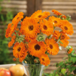 O1CN01DpWwby2BdOJ3W6D8F__2044468361-0-cib