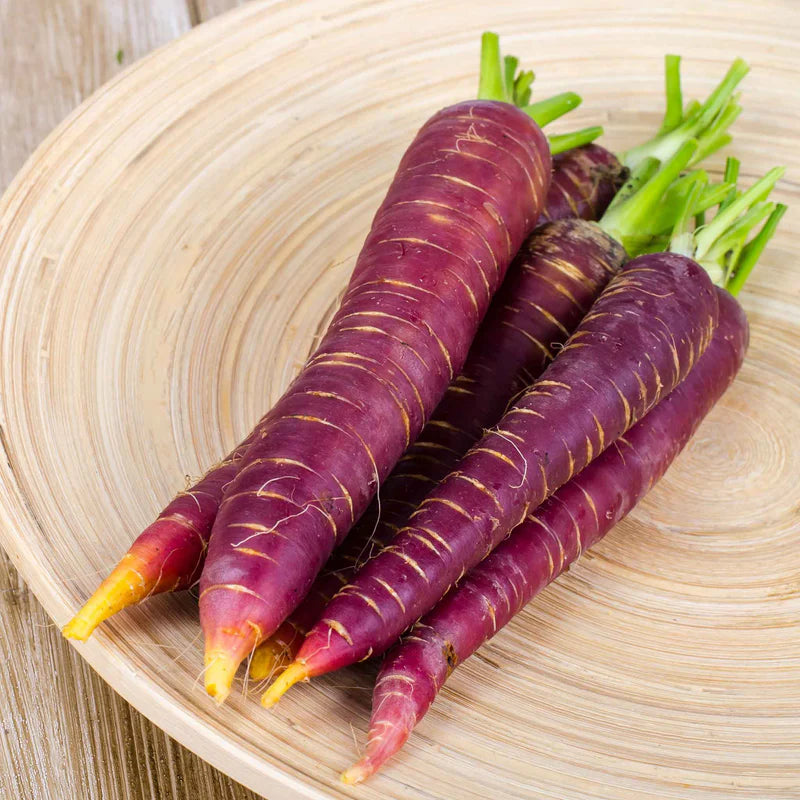 carrot-cosmic-purple-shk-2