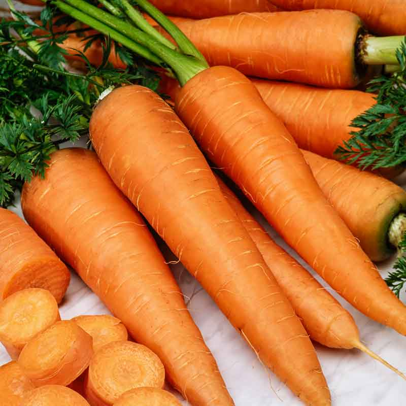 carrot-organic-danvers-126-flo-1