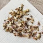 O1CN01UNPlbo2JkjbTqbQBt__2213216199460_jpg_q50_jpg