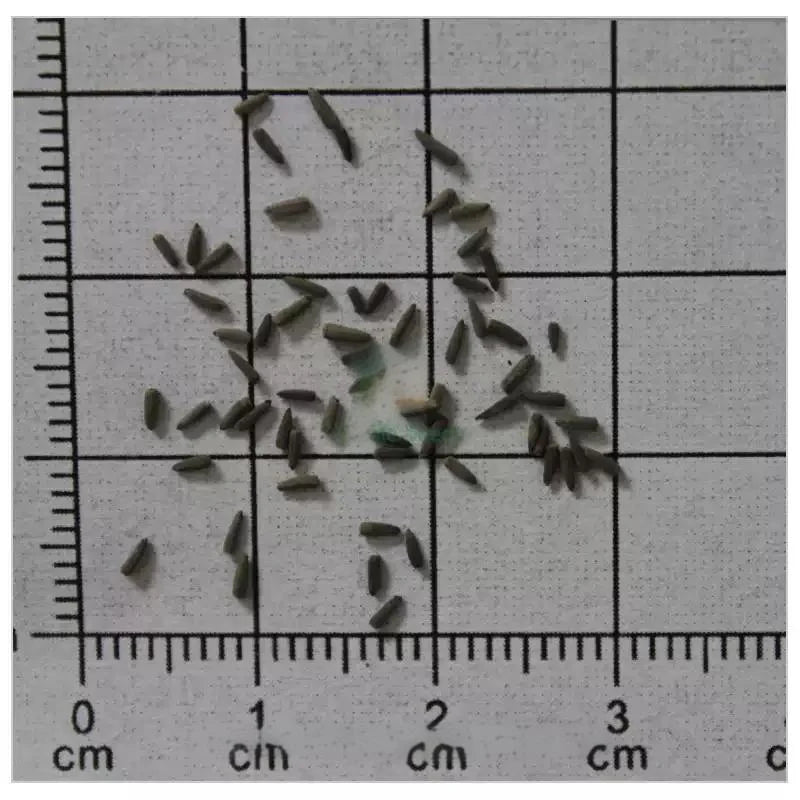 cf6792c325dbd2852c8664ea96d6337e-1