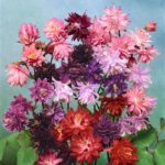 O1CN01LTKAHL2BdOA6LRH8K__2044468361-0-cib_2