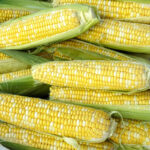 corn-bilicious-shk-1_1