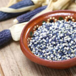 corn-blue-hopi-shk-1