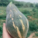 O1CN01VrmYCR2HimqiYzpt6__2216640589185.jpg_q50.jpg__1