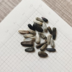 O1CN01TdiQMt2JkjluykL3F__2213216199460_jpg_q50_jpg