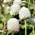 O1CN01MR6evu2BdOJAOZZL6__2044468361-0-cib