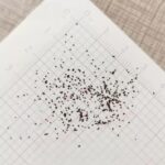 O1CN01pnv0EZ1u7voB2Opmz__0-rate_jpg_960x960_jpg