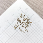 O1CN01gQdhVT2JkjlZnq4dr__2213216199460