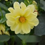 O1CN019xKZp92BdOFtjB7Nl__2044468361-0-cib