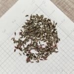 O1CN015hbSVJ2BdONnZgP2t__2044468361-0-cib