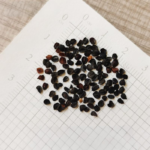 O1CN0180yIVN2Jkjm2eHCHJ__2213216199460_jpg_q50_jpg