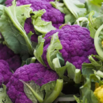 98cdc964aa078b5e703343589ee2a4e6