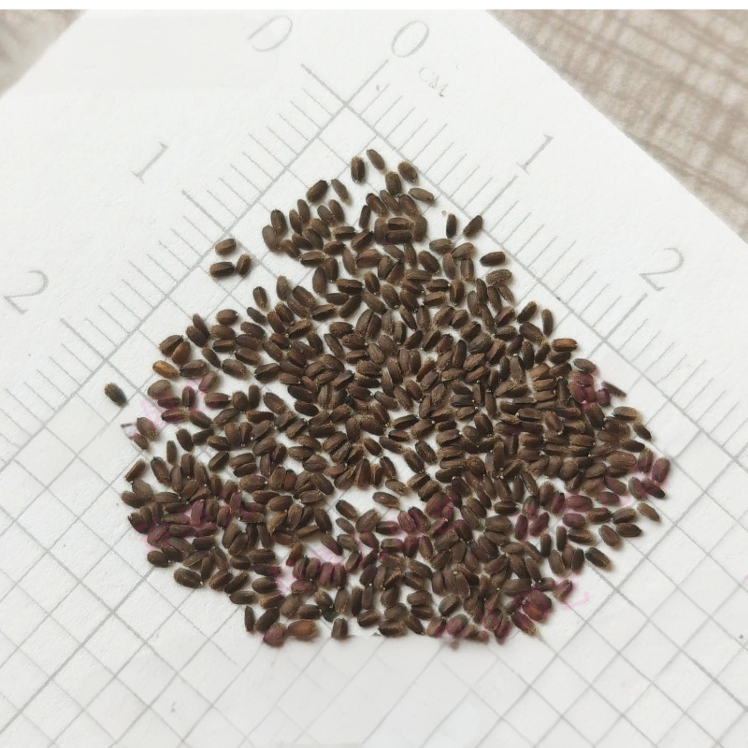 df95f255105000b58044032a4aa1e111