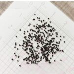 O1CN01wKEw0N1PKWHAO23mP__6000000001822-0-cib